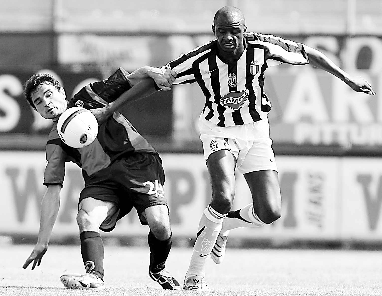 韩国队的朴 韩国队的朴