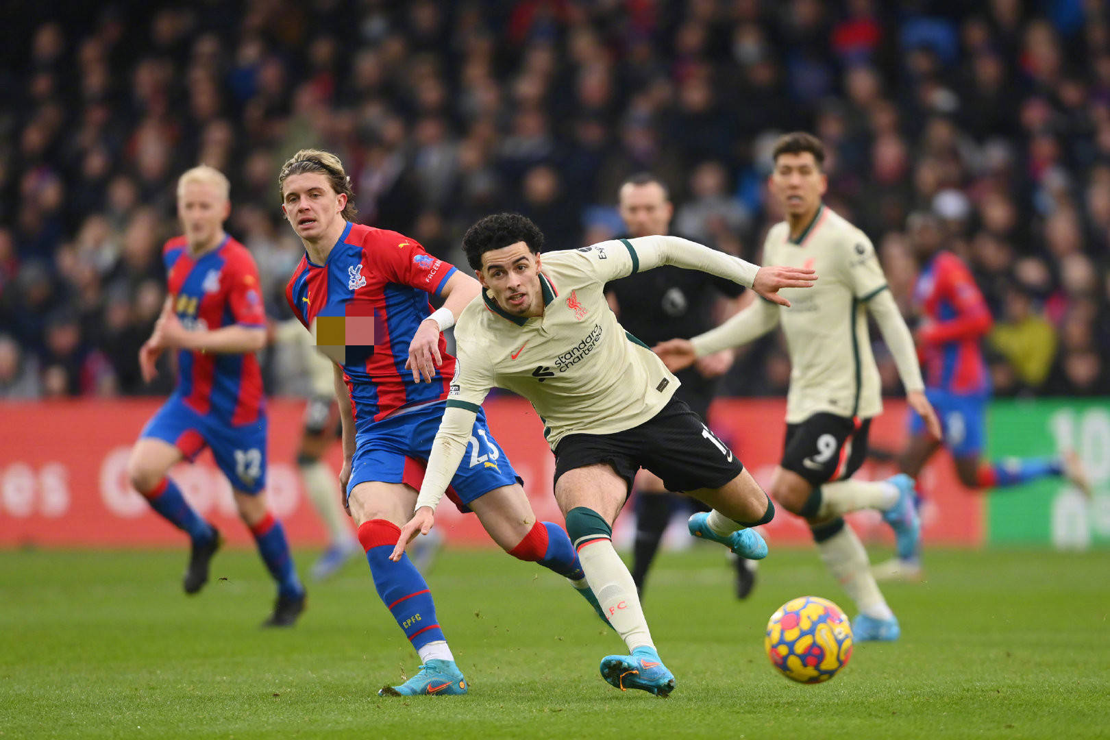 迪马利亚在 迪马利亚在